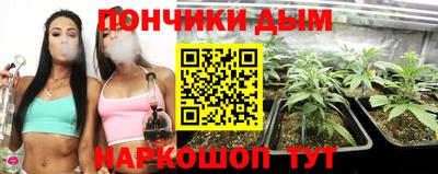 индика Бузулук